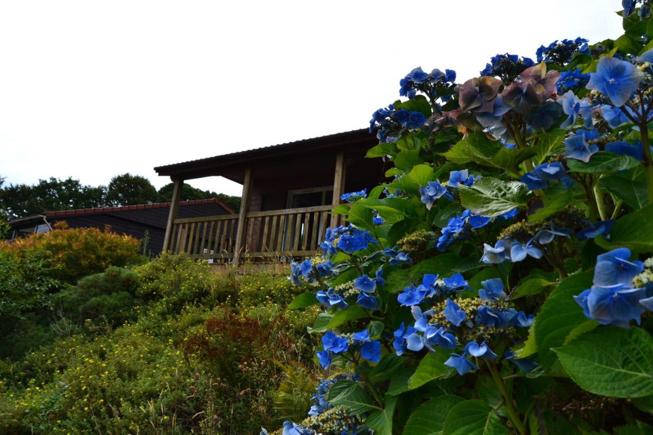 Beautiful Lake View 3 Bedroom Chalet. Saint-Manvieu-Bocage Luaran gambar